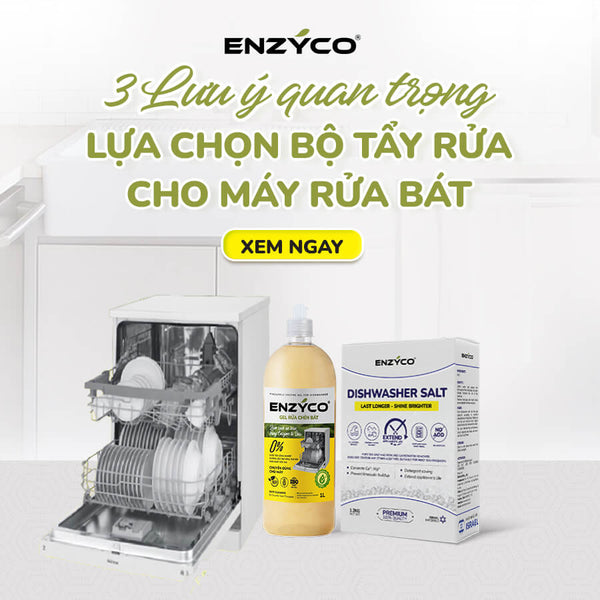 03 LƯU Ý QUAN TRỌNG KHI LỰA CHỌN BỘ TẨY RỬA CHO MÁY RỬA BÁT