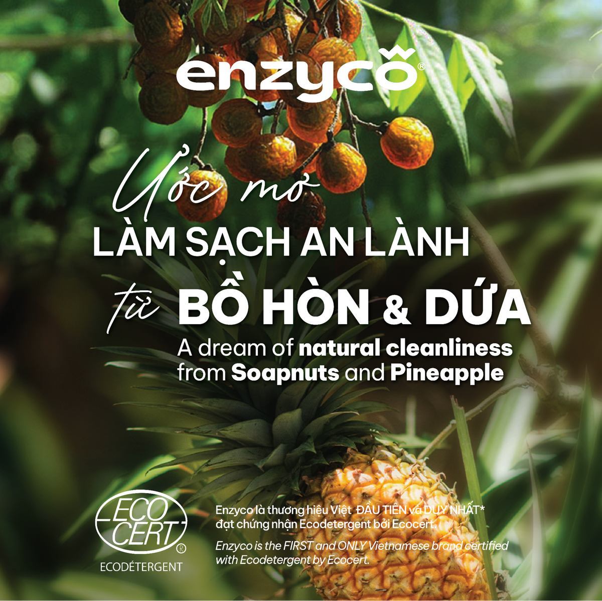 Enzyco chính thức trở thành thành viên Hiệp hội Nông nghiệp Hữu cơ Việt Nam
