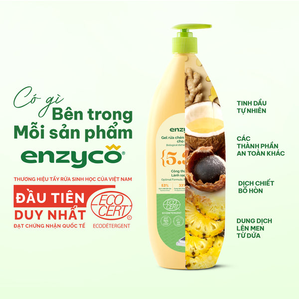 Gel rửa chén bát sinh học Enzyco từ bồ hòn và dứa - đạt chứng nhận Ecodetergent bởi Ecocert - 2L
