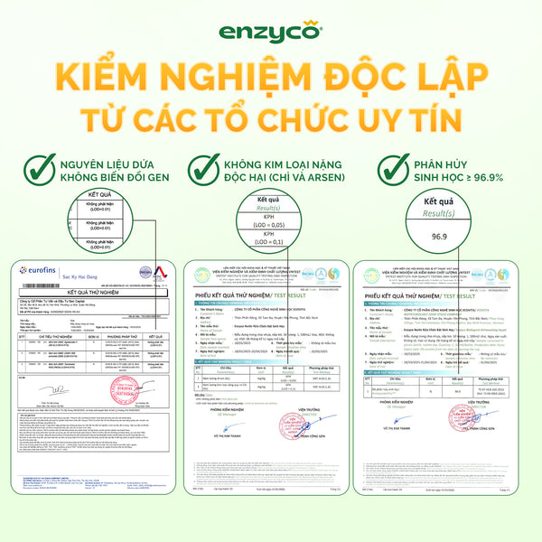 Nước rửa chén bát sinh học Enzyco từ bồ hòn và dứa - đạt chứng nhận Ecodetergent bởi Ecocert | Hương cam - 465ml